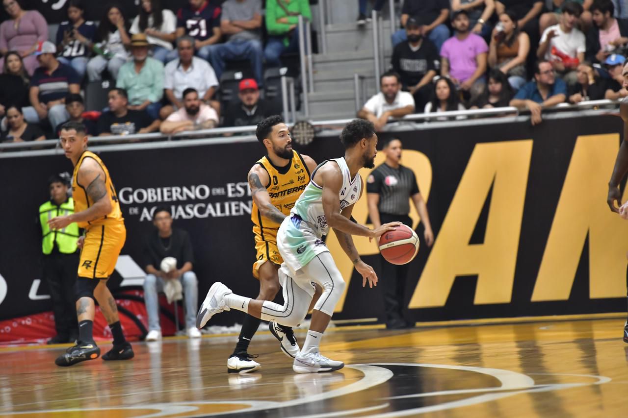 HALCONES DE XALAPA ENFRENTARÁ A PANTERAS EN PLAYOFFS 